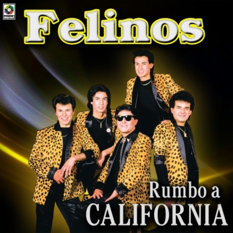 Rumbo A California | Boomplay Music