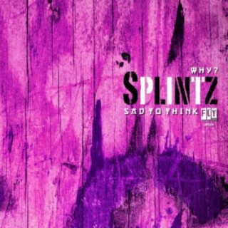 Splintz