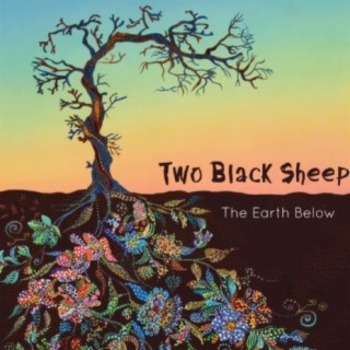 Two Black Sheep