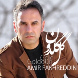 Amir Fakhreddin