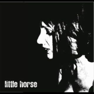 Little Horse