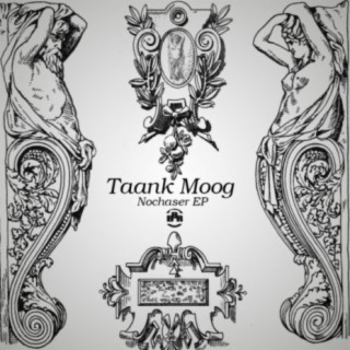 Taank Moog