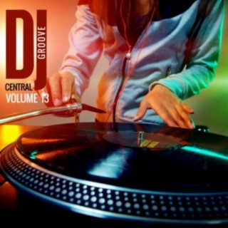 DJ Central Groove Vol, 13