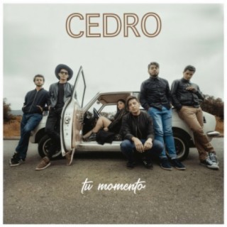 Cedro