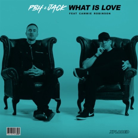 What Is Love ft. Cammie Robinson | Boomplay Music