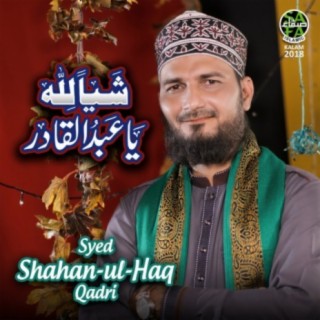 Syed Shahan Ul Haq