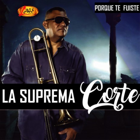 Porque Te Fuiste | Boomplay Music