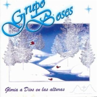 GRUPO BOSES