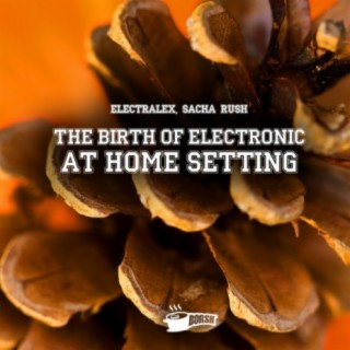 The Birth Of Electronic At Home Setting