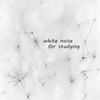 White Noise for Studying