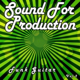 Sound For Production Funk Guitar, Vol. 2