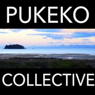 Pukeko Collective