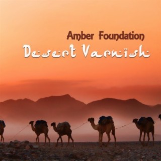 Amber Foundation