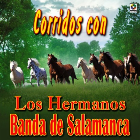 Corrido De Los Pérez | Boomplay Music