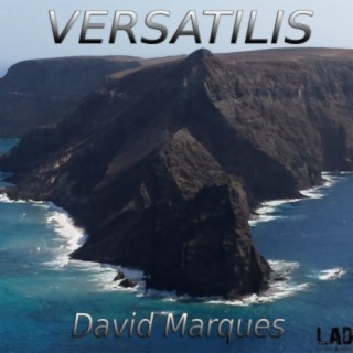 Versatilis