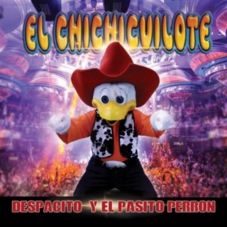 El Chichicuilote