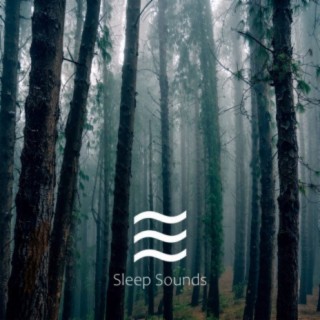 Sleep Sounds of Noises for Home Stay and Baby Sleep