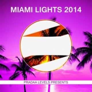 Miami Lights 2014
