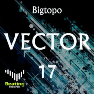 Vector 17