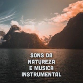 Sons da natureza e música instrumental – Músicas de piano relaxantes com ondas do mar e pássaros, sono profundo, meditação de atenção plena, relaxamento