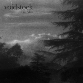 voidstock