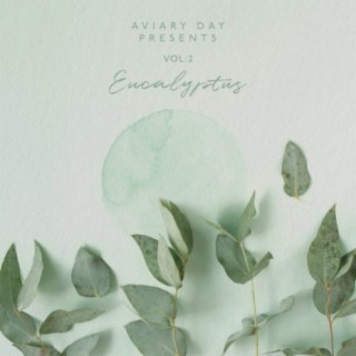 Vol.2: Eucalyptus