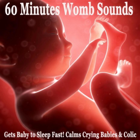 60 Minutes Womb Sounds (Gets Baby to Sleep Fast! Calms Crying Babies & Colic) | Boomplay Music