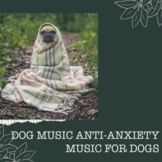 Dog Music Anti-Anxiety Music for Dogs