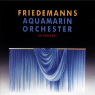 Aquamarin Orchester in Concert