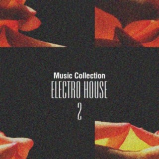 Music Collection. Electro House, Vol. 2