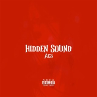 Hidden Sound
