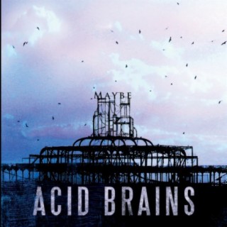 Acid Brains