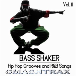 The Bass Shaker: Hip Hop Grooves and R&B Songs, Vol. 11