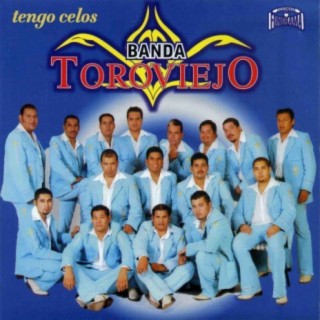 Banda Toro Viejo