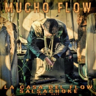 Mucho Flow