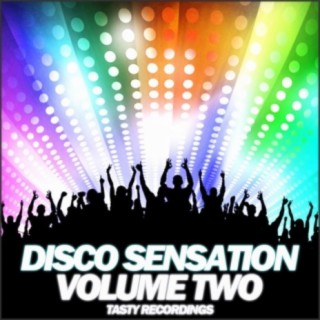 Disco Sensation - Volume Two