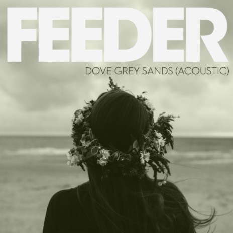 Dove Grey Sands (Acoustic Version) | Boomplay Music