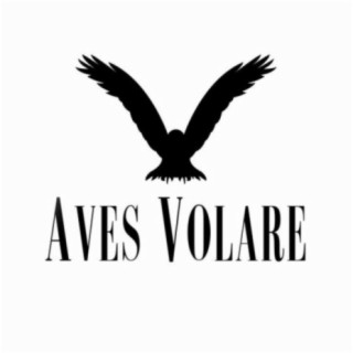 Aves Volare