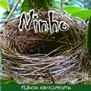 Ninho