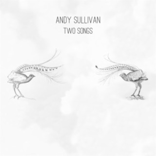 Andy Sullivan