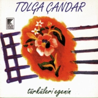 Tolga Çandar