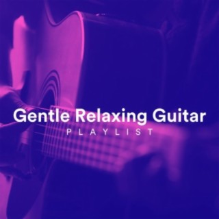 Gentle Relaxing Guitar Playlist