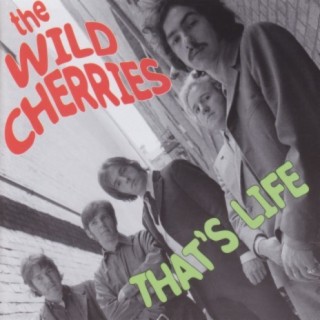The Wild Cherries
