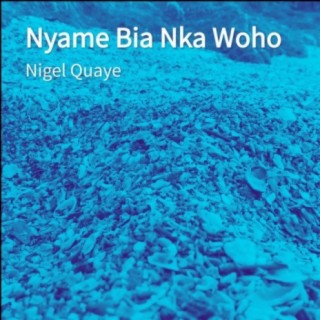 Nigel Quaye