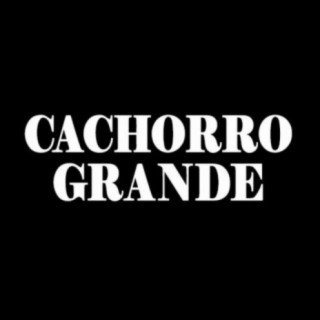 Cachorro Grande