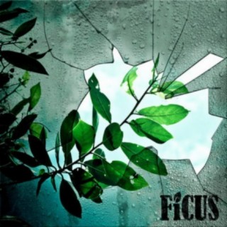 Ficus