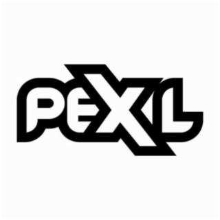 Pex L
