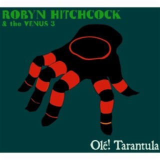 Robyn Hitchcock & The Venus 3