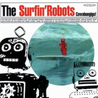 The Surfin Robots