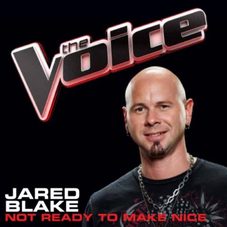 Not Ready To Make Nice (The Voice Performance) | Boomplay Music